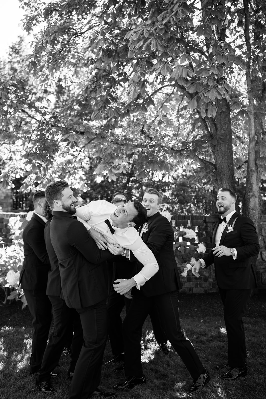 Black and white film photo of groomsmen playfully wrestling and laughing with the groom on the lawn.